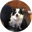 Brinkley Marcus profile picture